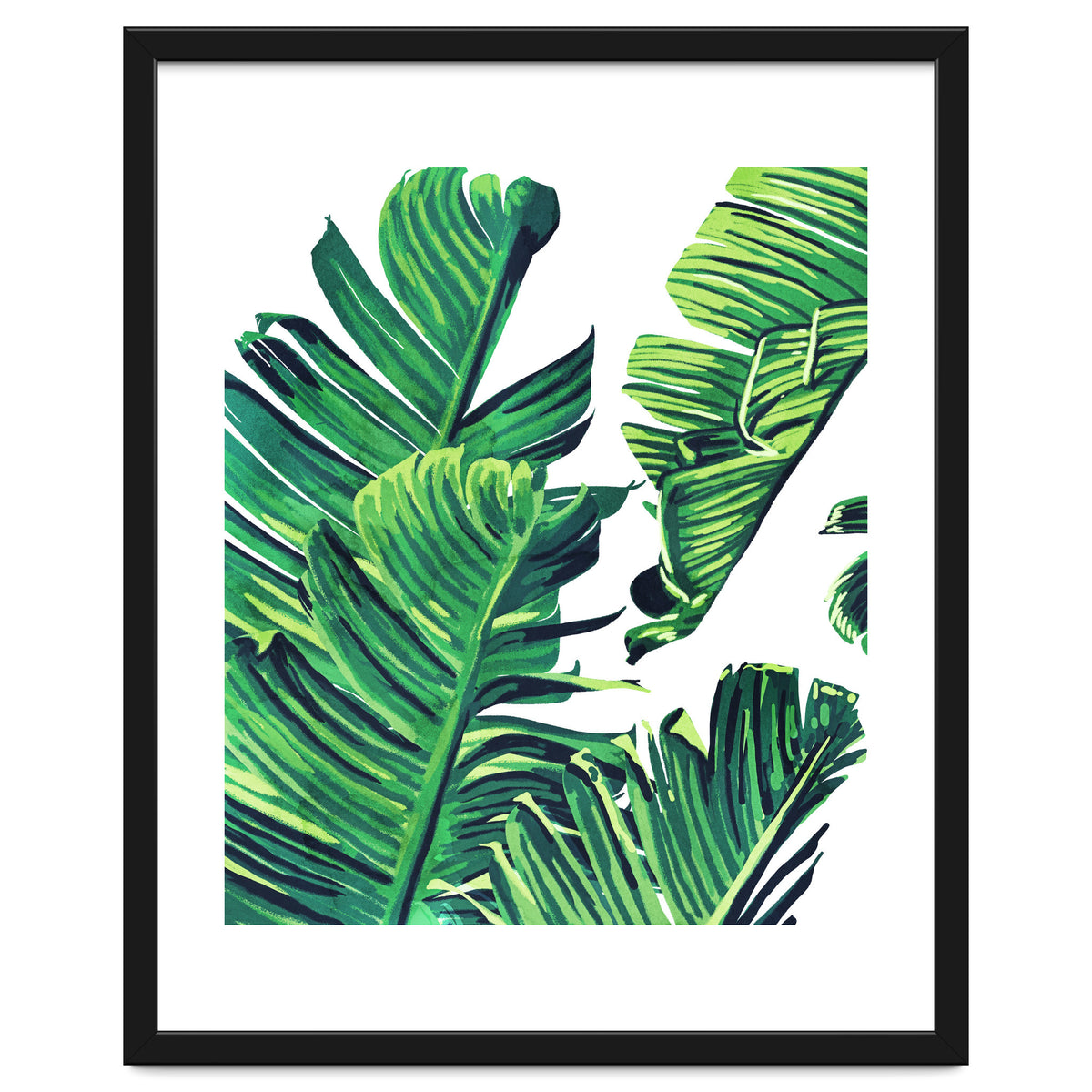 Banana Tree Leaves