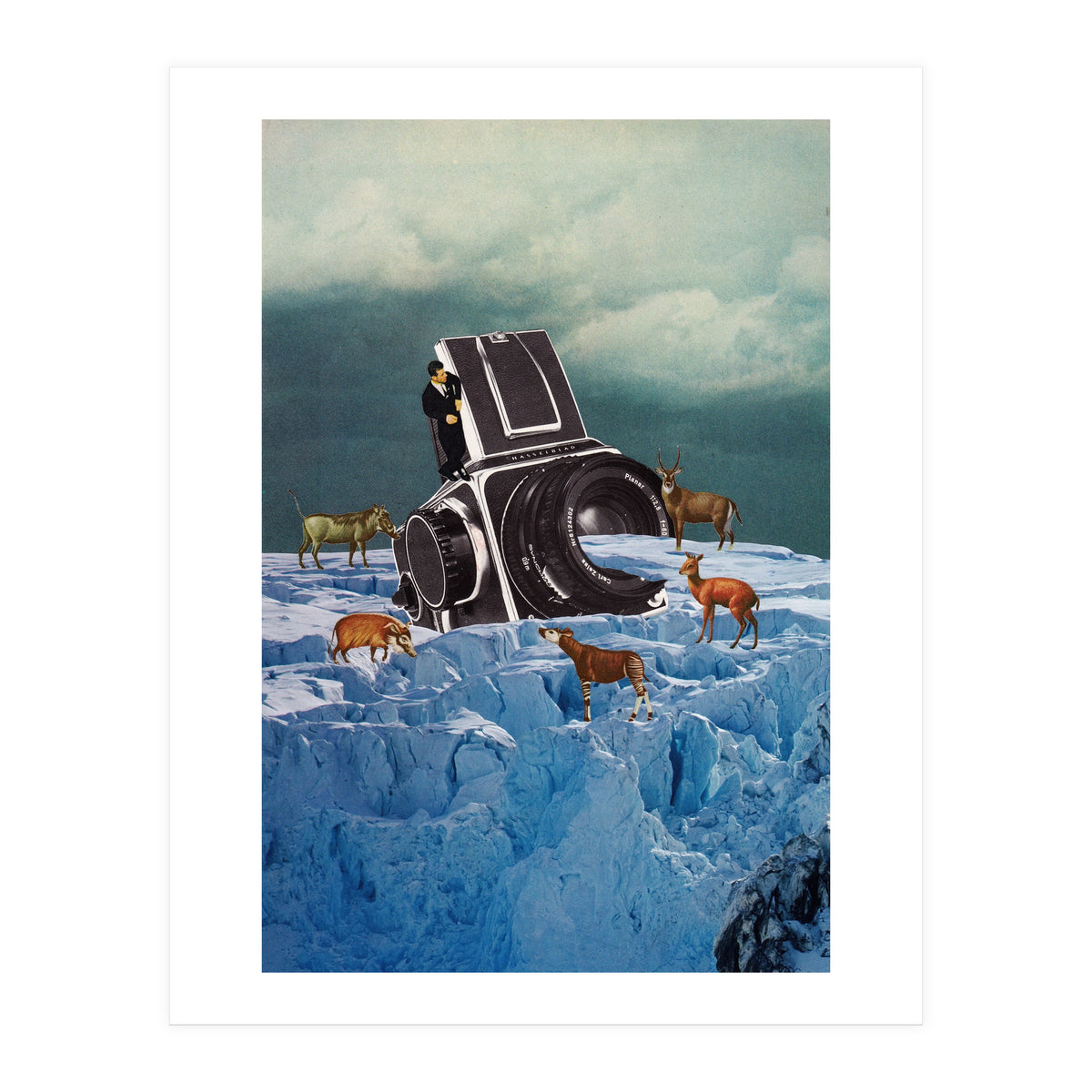 Cameraman (Print Only)