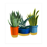 Little Garden (Print Only) thumbnail
