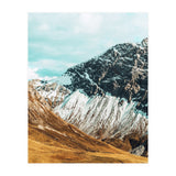 Carter (Print Only) thumbnail