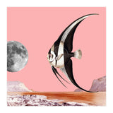 Plenty Of Fish In The Sea Pink (Print Only) thumbnail