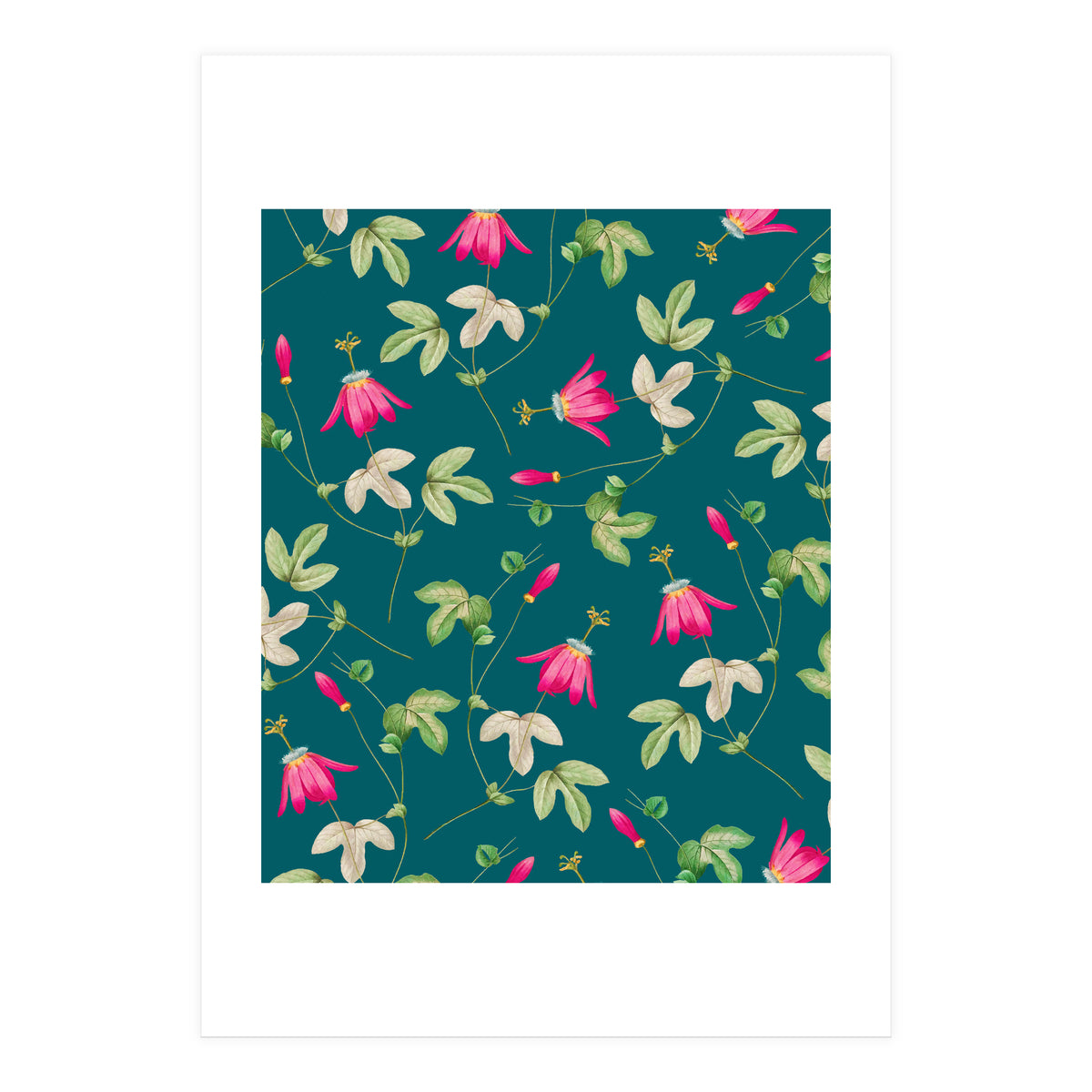 Art Of Nature (Print Only)