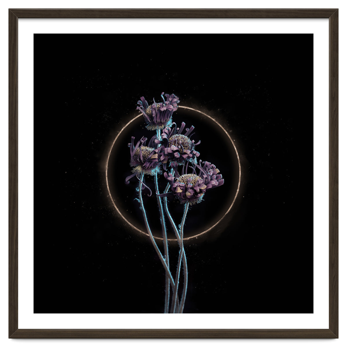 Candy-Coloured Mystery