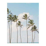 Tropical Palm Trees (Print Only) thumbnail