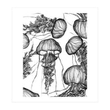 jellyfish (Print Only) thumbnail
