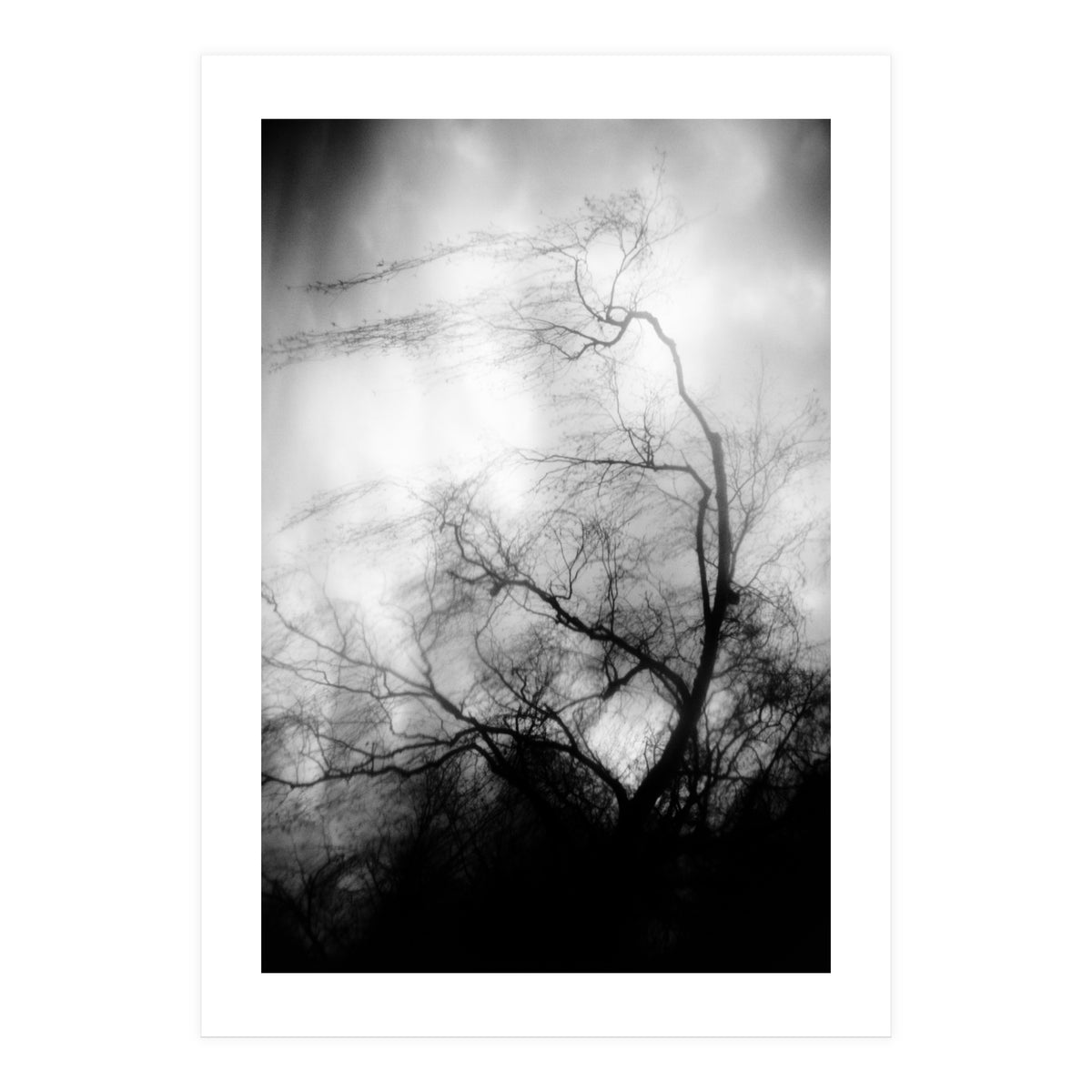 love wish (Print Only)