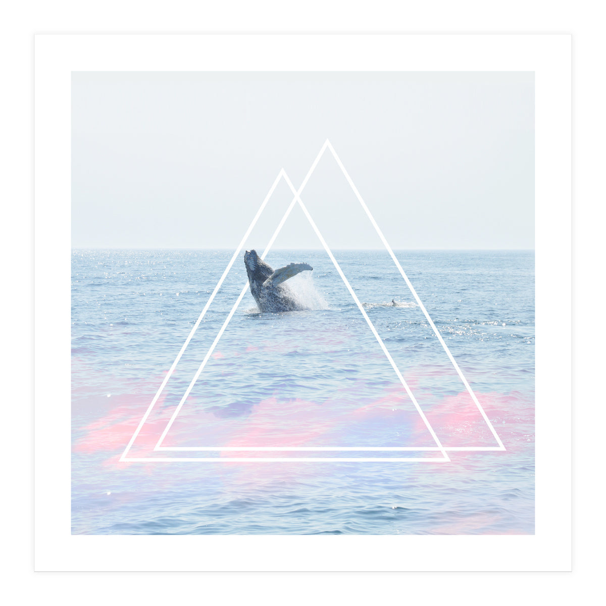 Whale of a Time (Print Only)