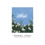 Odisha, India (Print Only) thumbnail