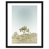 Vintage Joshua Tree