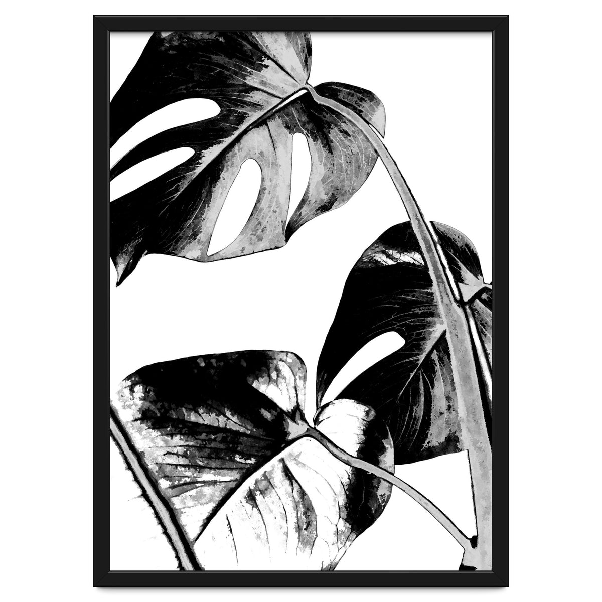 Black Tropical Leaves
