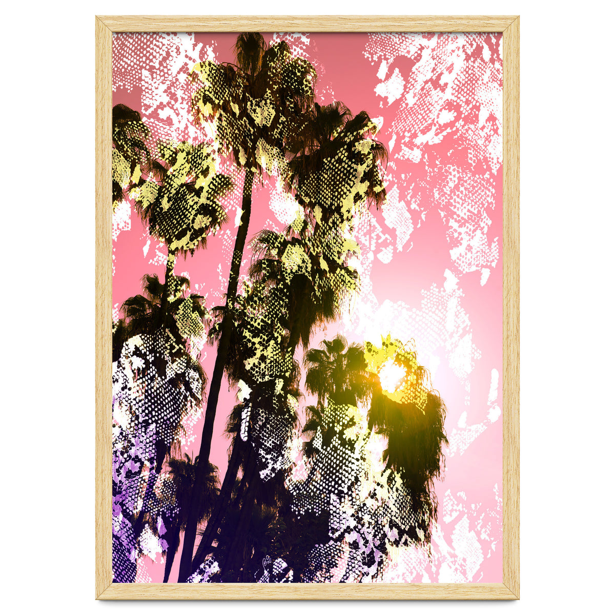 Snake sunset in paradise