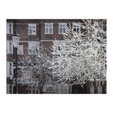 Chelsea Spring  (Print Only) thumbnail