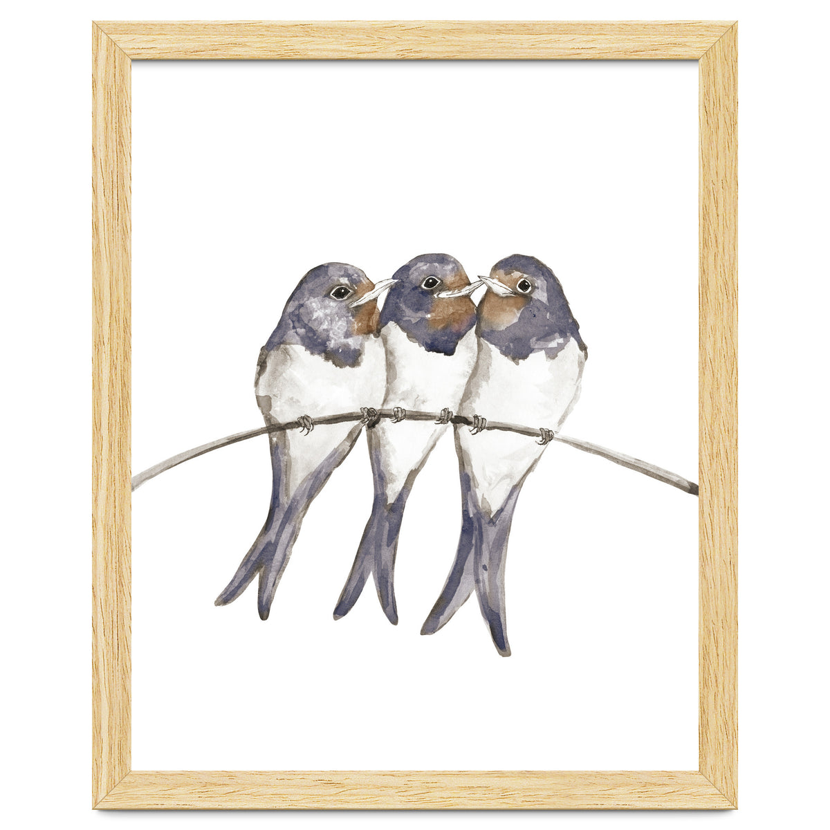 Three young swallows