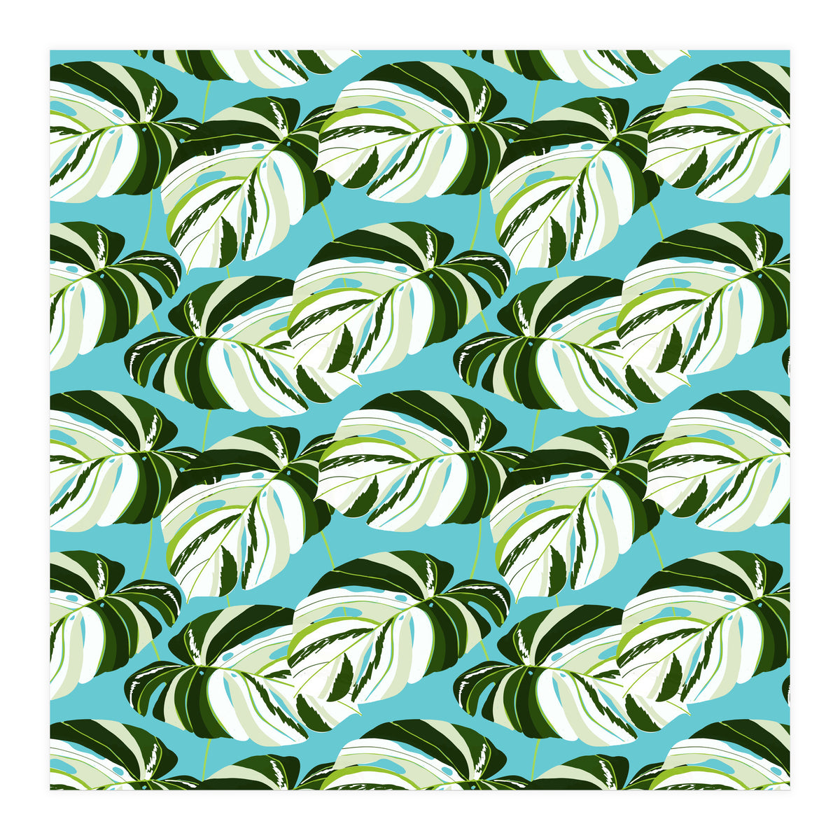 Summer Variegated Monstera | Rainforest Jungle botanical Plants Illustration | Boho Tropical Nature (Print Only)