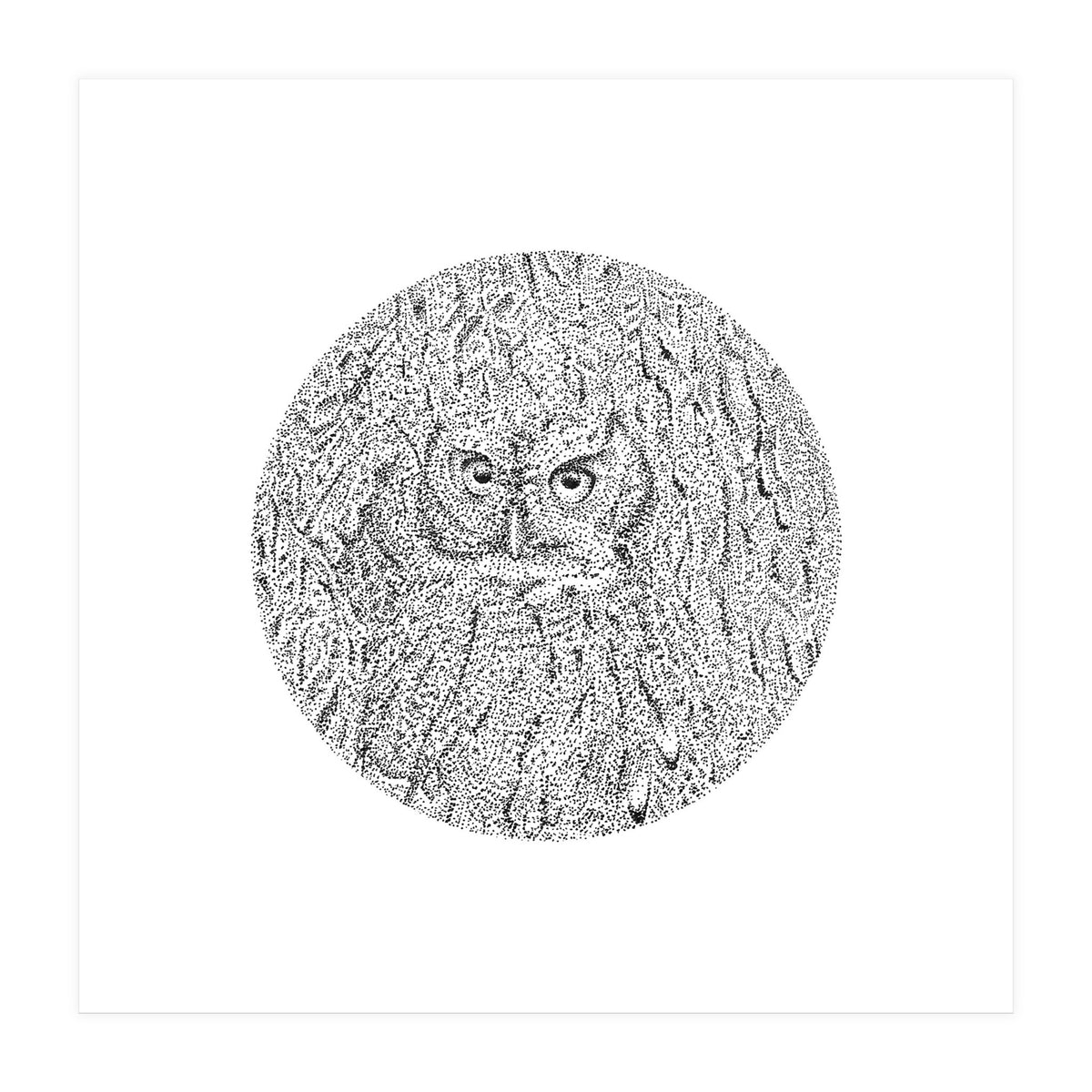 In Plain Sight (Print Only)