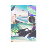 Beak Ruddy (Print Only) thumbnail