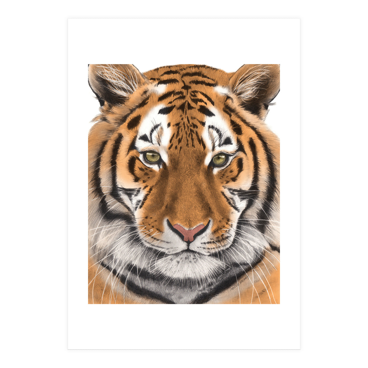 Tiger (Print Only)