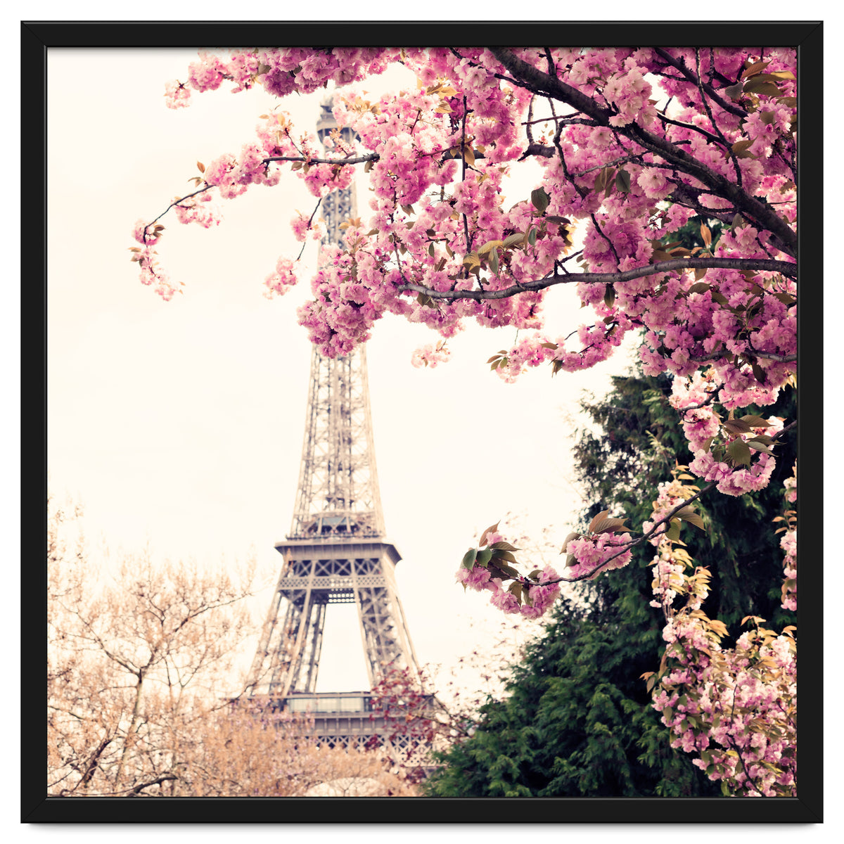 Paris in the Spring
