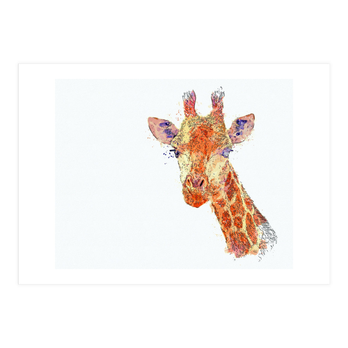 Grayson (Print Only)