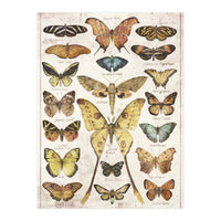 Butterflies (Print Only)