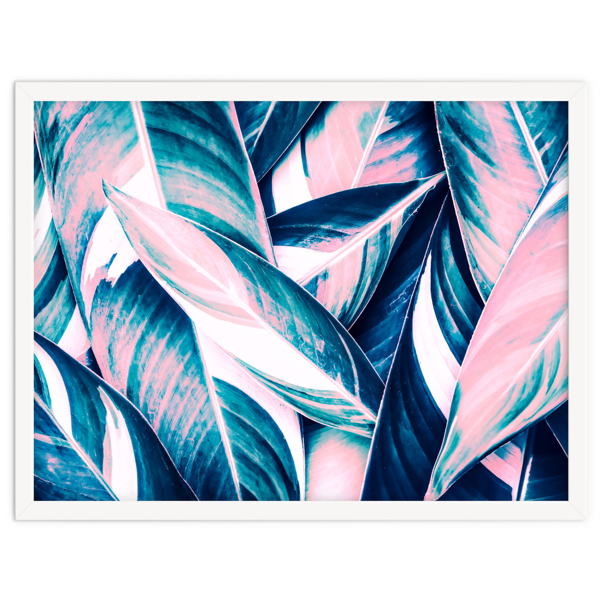 Botanical leaf pink and blue