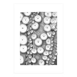 Octopus no. 3 (Print Only) thumbnail
