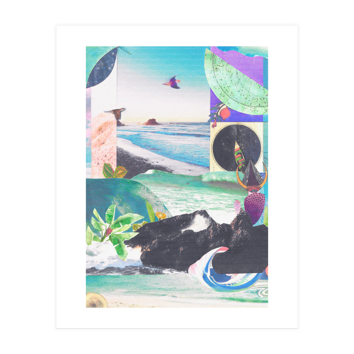 Beak Ruddy (Print Only)