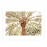 Tropical Palm Tree (Print Only) thumbnail