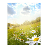 Nature (Print Only) thumbnail