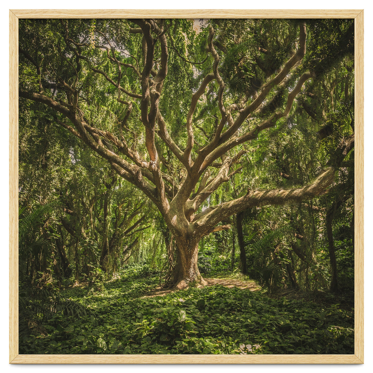 Spirits inside the wood