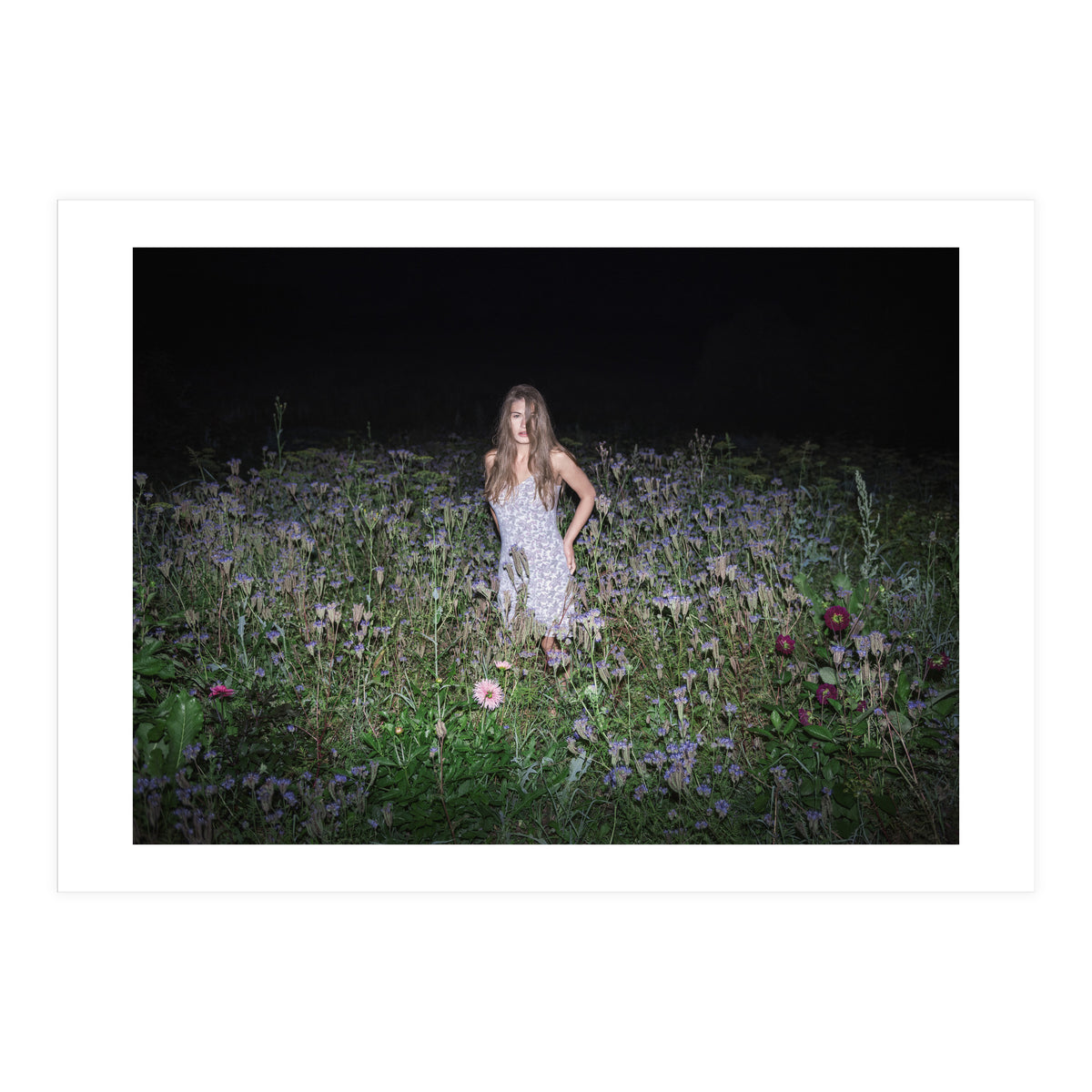 Insomnia (Print Only)