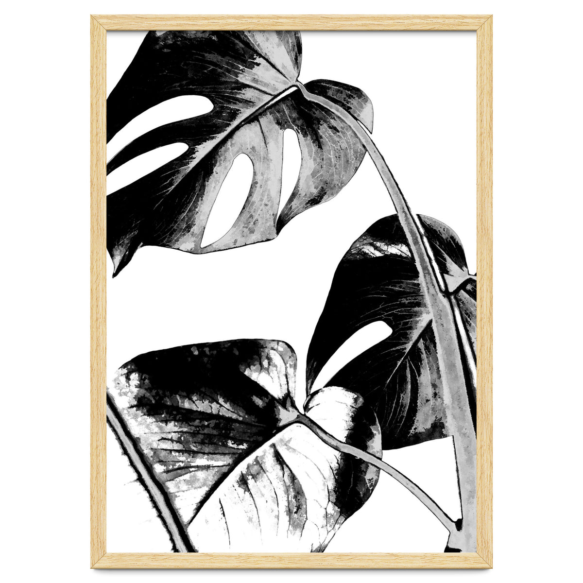 Black Tropical Leaves