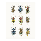 Cc Insects 05 (Print Only) thumbnail