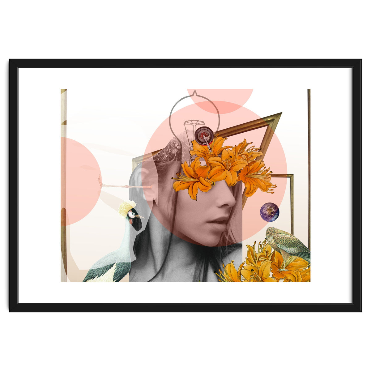 Dreamland Division · D