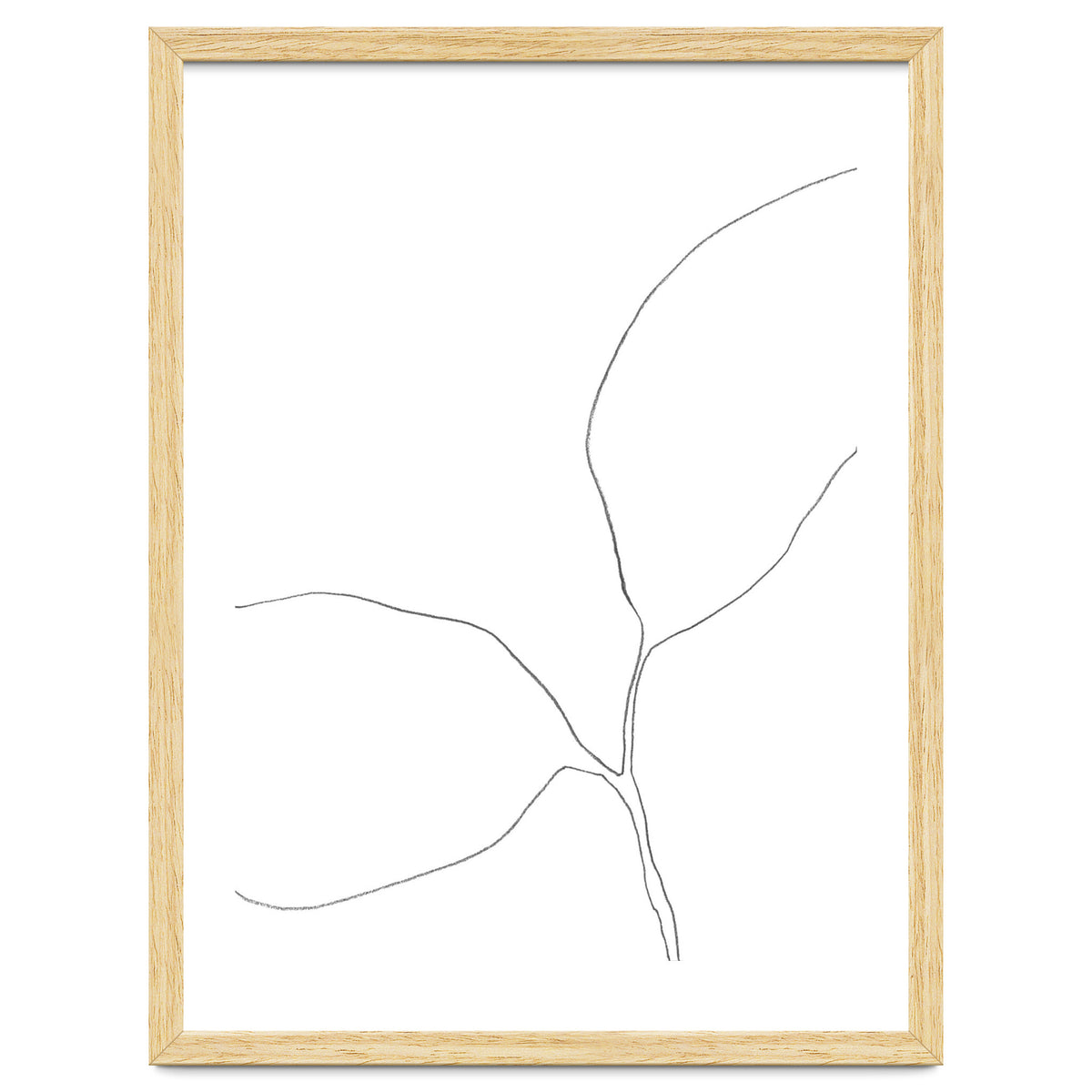 Seedling Leaning Left