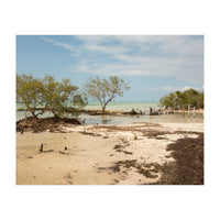 Yucatan beach (Print Only)