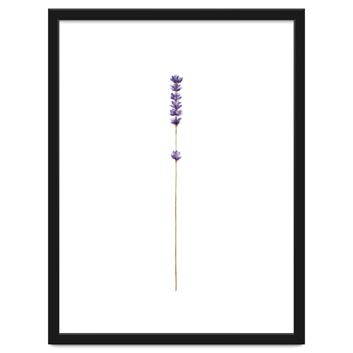 Lavender twig