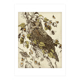 Great Horned Owl (Print Only) thumbnail
