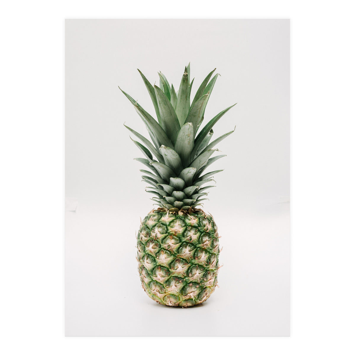 Pineapple (Print Only)