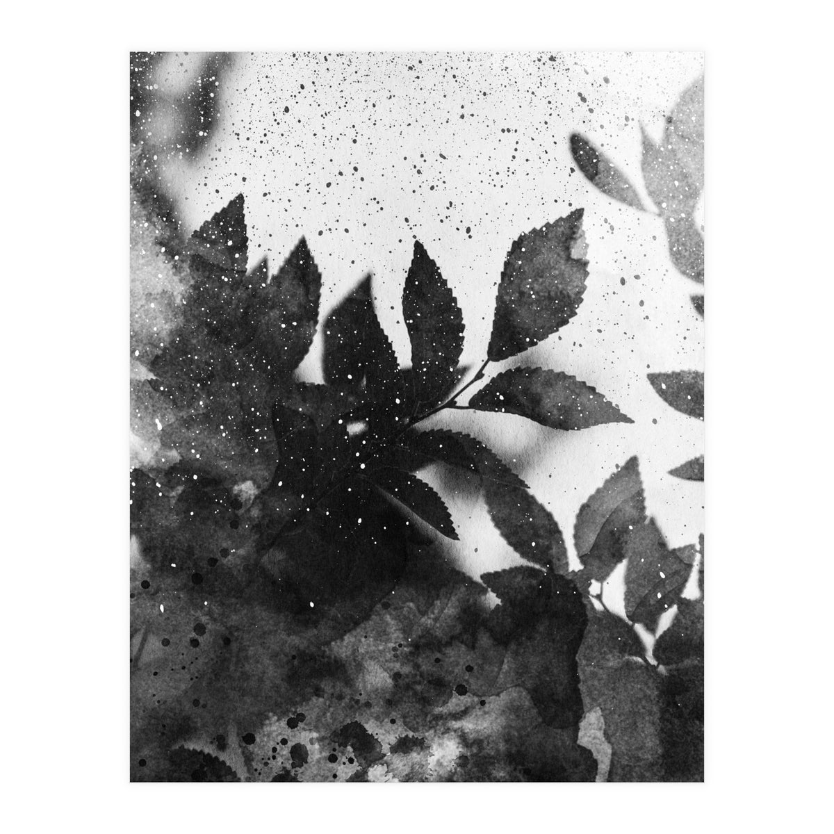 Leaves #1 (Print Only)