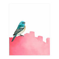 Bird Pink (Print Only)