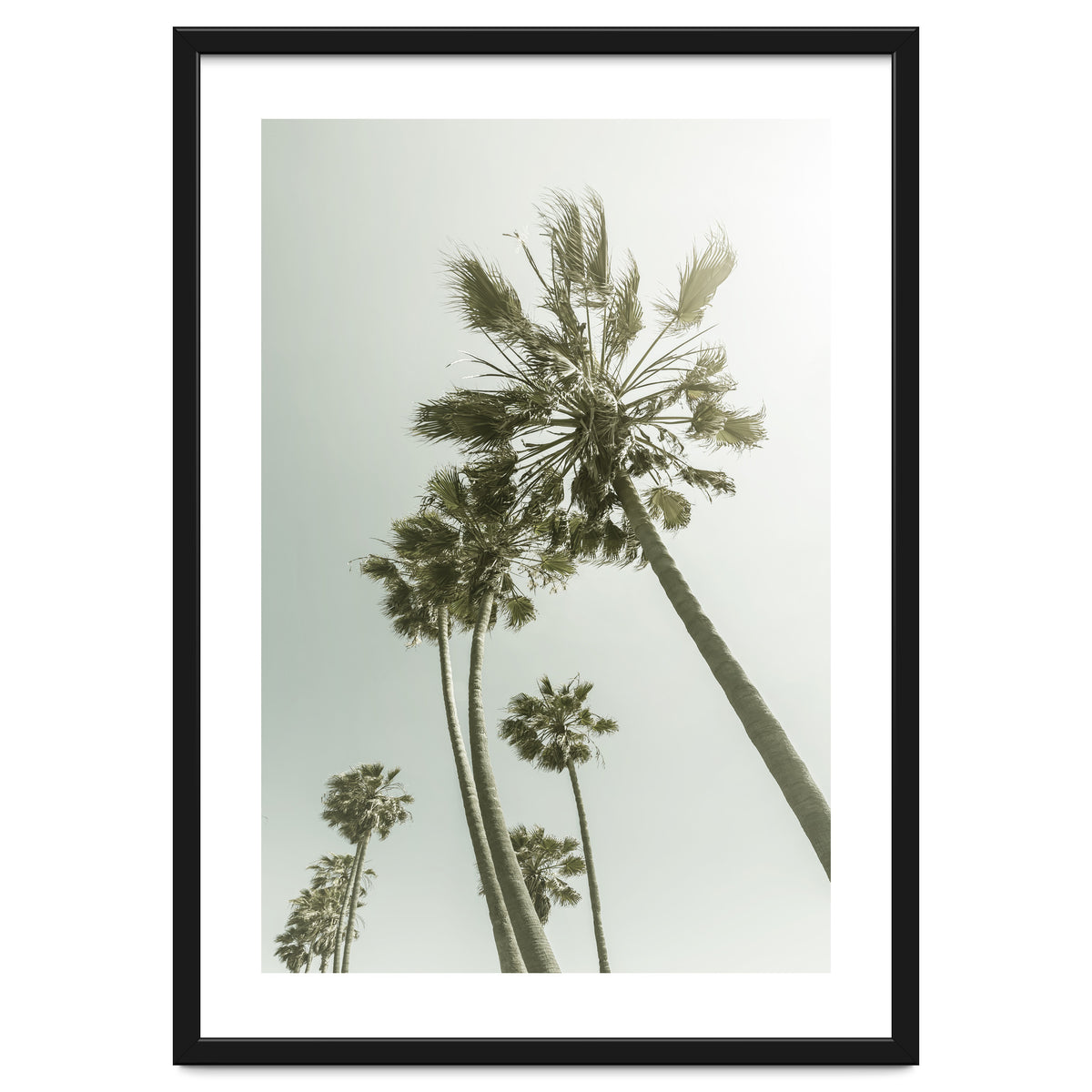Vintage Palm Trees