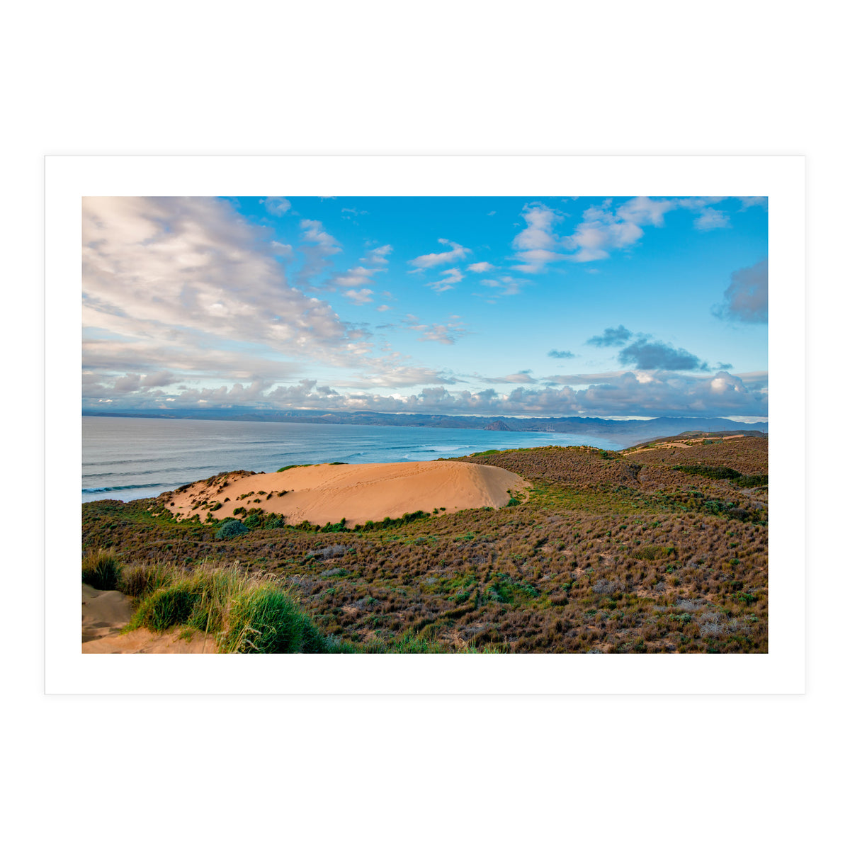 Coastal Sand Dune (Print Only)