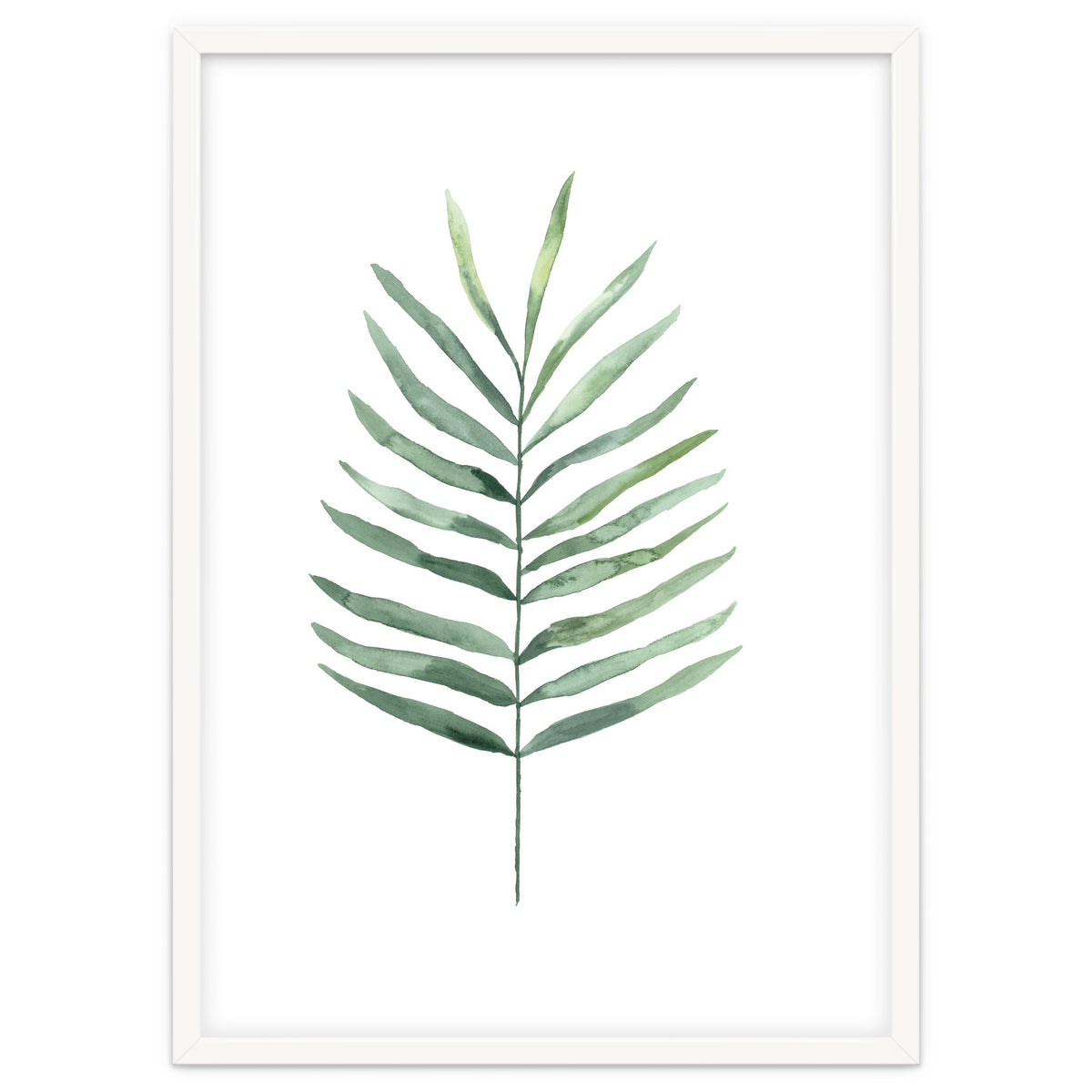 Botanical Illustration Fern