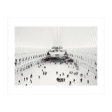Oculus (Print Only) thumbnail