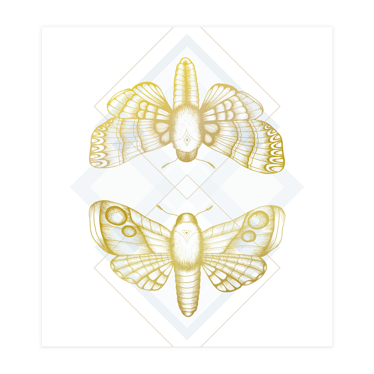 Polillas - Gold (Print Only)