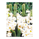 Cactus & Bloom (Print Only) thumbnail