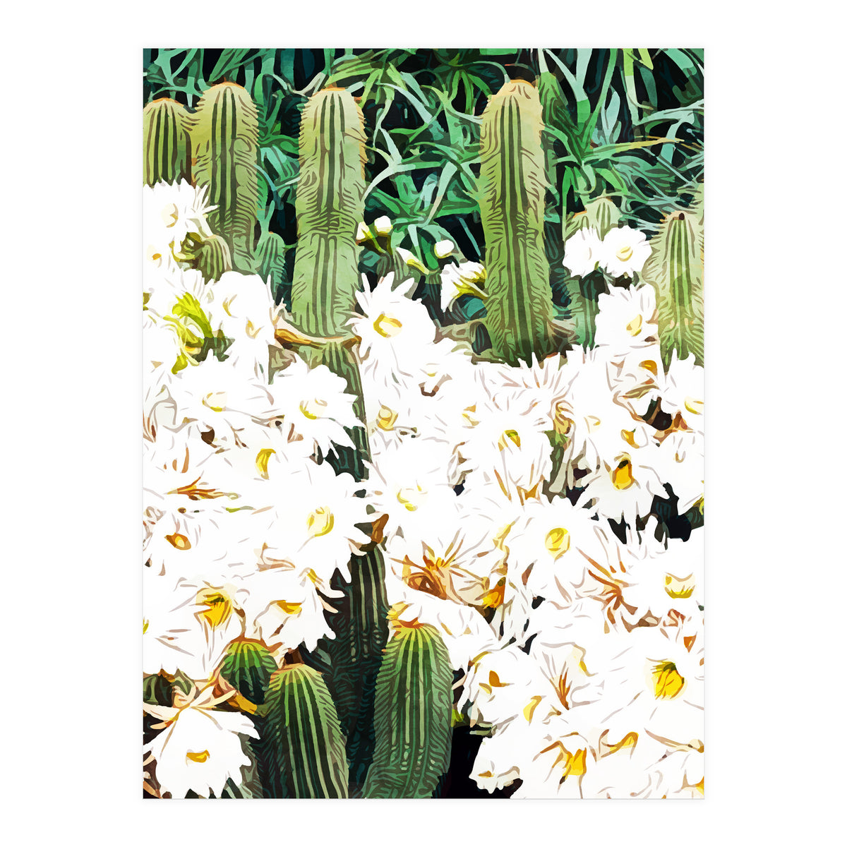 Cactus & Bloom (Print Only)