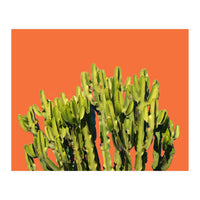 Bold Cactus (Print Only)