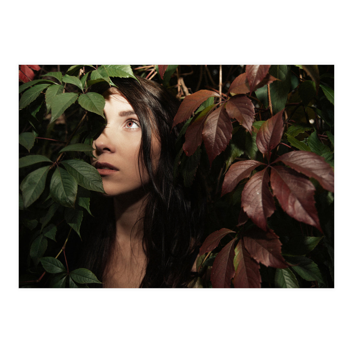 Autumn Portrait (Print Only)